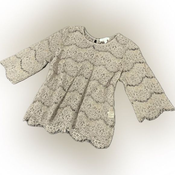 Paper + Tee NWT Neutral Sheer Lace/Eyelet Blouse - Picture 1 of 8
